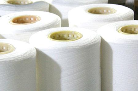 Amane Imabari Organic Cotton Yarn 